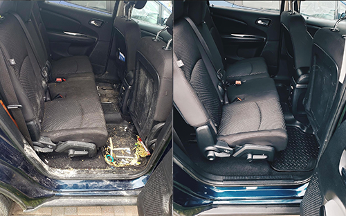 same day car detailing mississauga